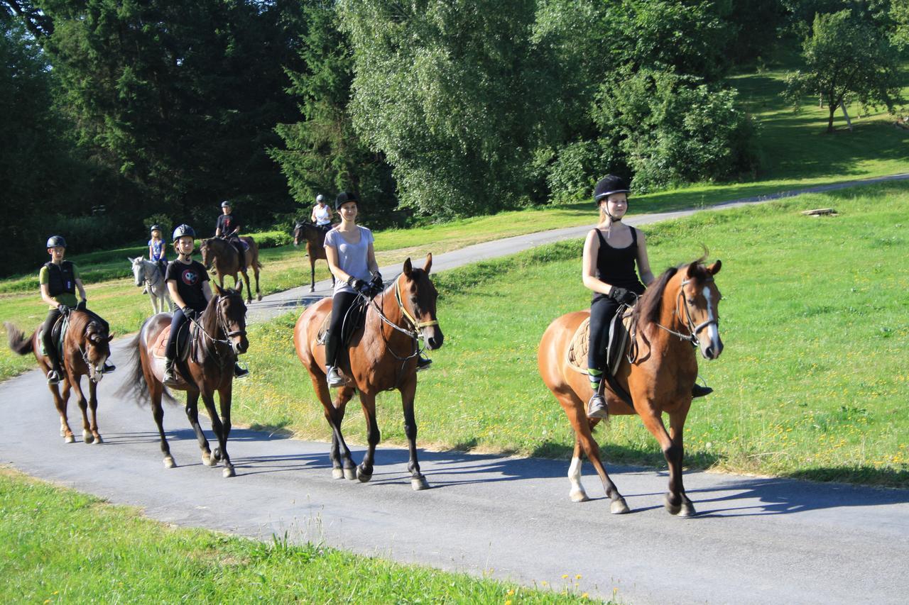 Sportpension Ramlhof Kollerschlag Luaran gambar