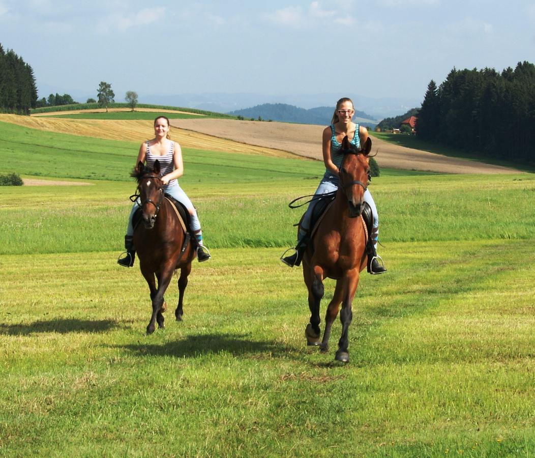 Sportpension Ramlhof Kollerschlag Luaran gambar